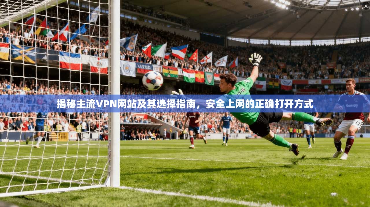 揭秘主流VPN网站及其选择指南，安全上网的正确打开方式