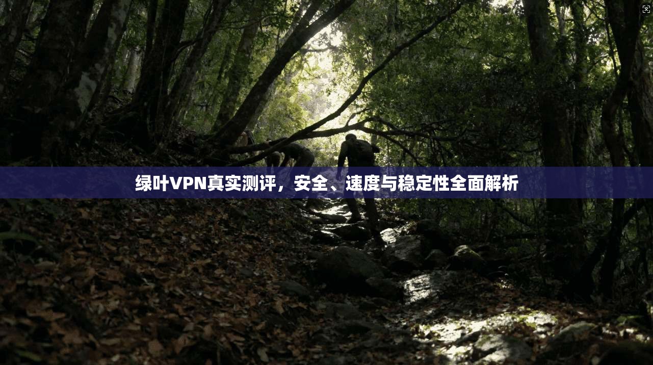绿叶VPN真实测评，安全、速度与稳定性全面解析