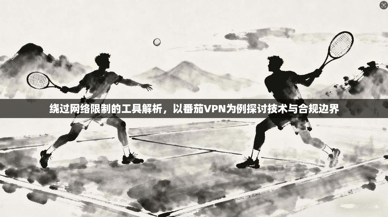 绕过网络限制的工具解析，以番茄VPN为例探讨技术与合规边界