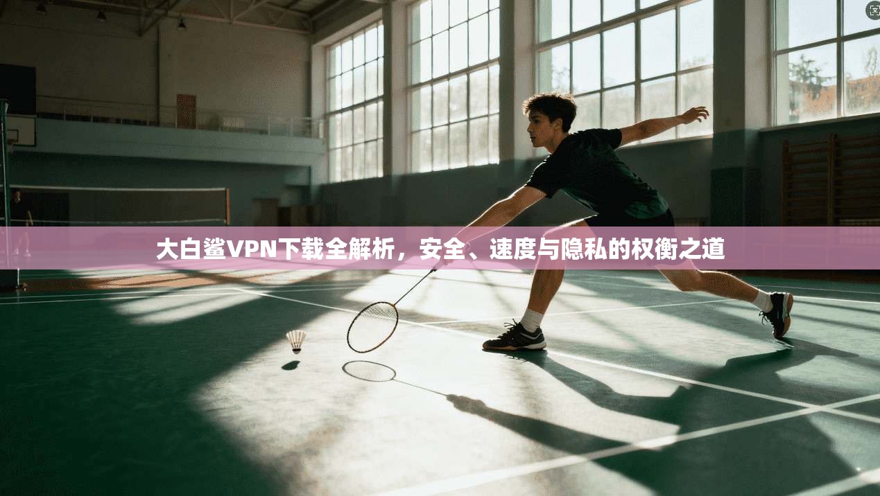 大白鲨VPN下载全解析，安全、速度与隐私的权衡之道