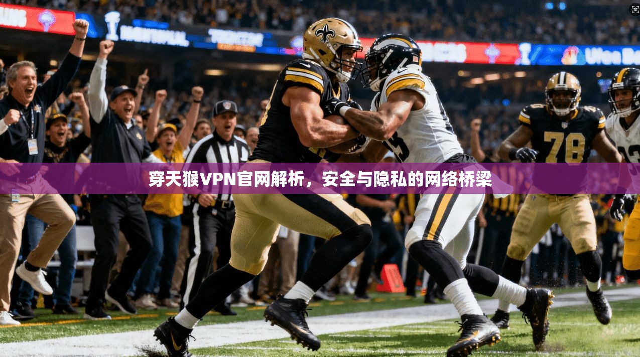 穿天猴VPN官网解析,安全与隐私的网络桥梁 穿天猴VPN官网解析,安全与隐私的网络桥梁
