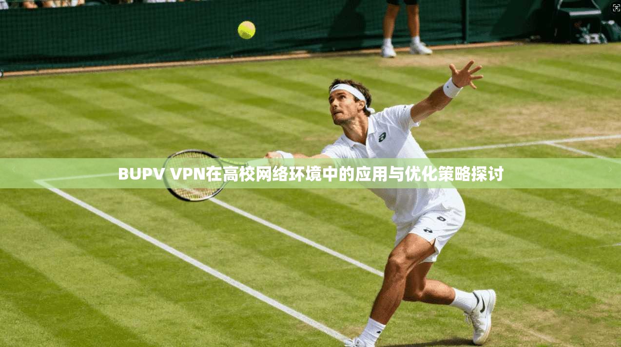 BUPV VPN在高校网络环境中的应用与优化策略探讨