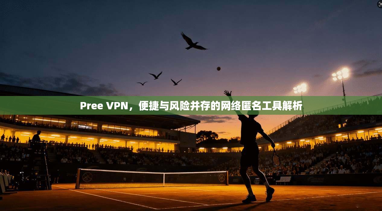 Pree VPN，便捷与风险并存的网络匿名工具解析