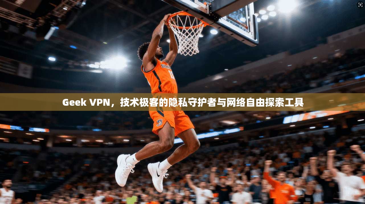 Geek VPN，技术极客的隐私守护者与网络自由探索工具