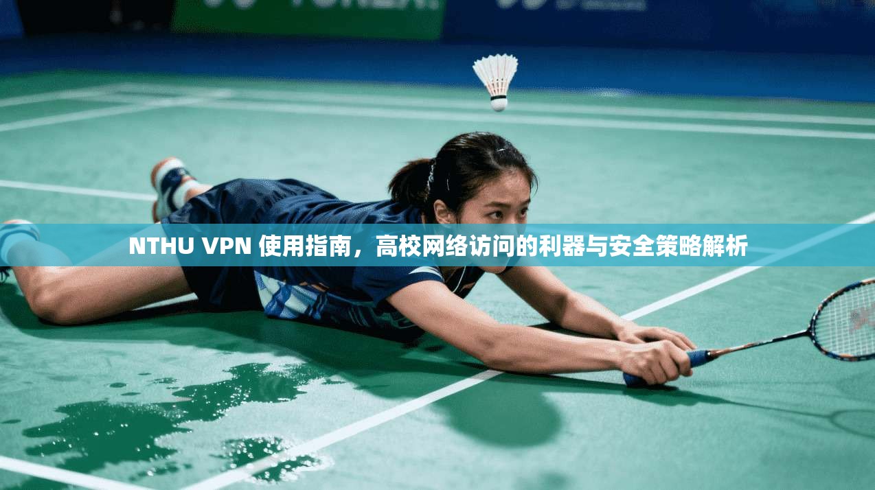 NTHU VPN 使用指南，高校网络访问的利器与安全策略解析