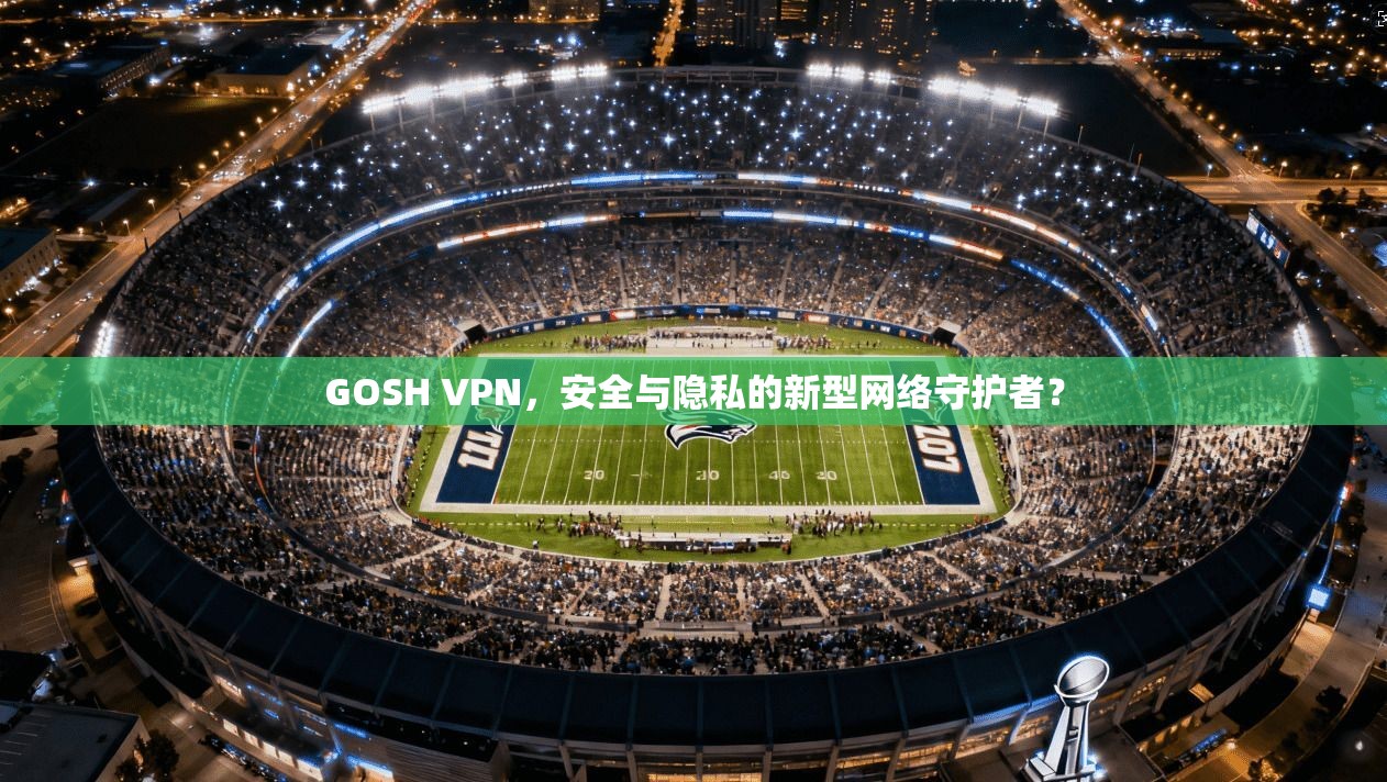 GOSH VPN，安全与隐私的新型网络守护者？