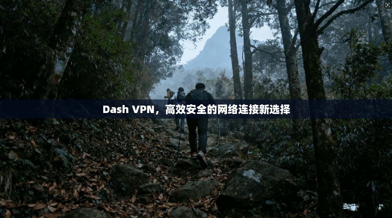 Dash VPN,高效安全的网络连接新选择 Dash VPN,高效安全的网络连接新选择