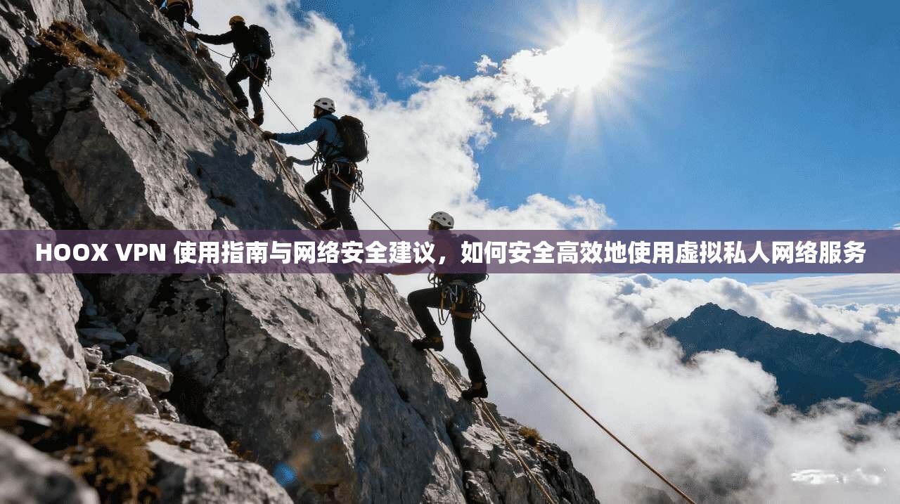 HOOX VPN 使用指南与网络安全建议，如何安全高效地使用虚拟私人网络服务