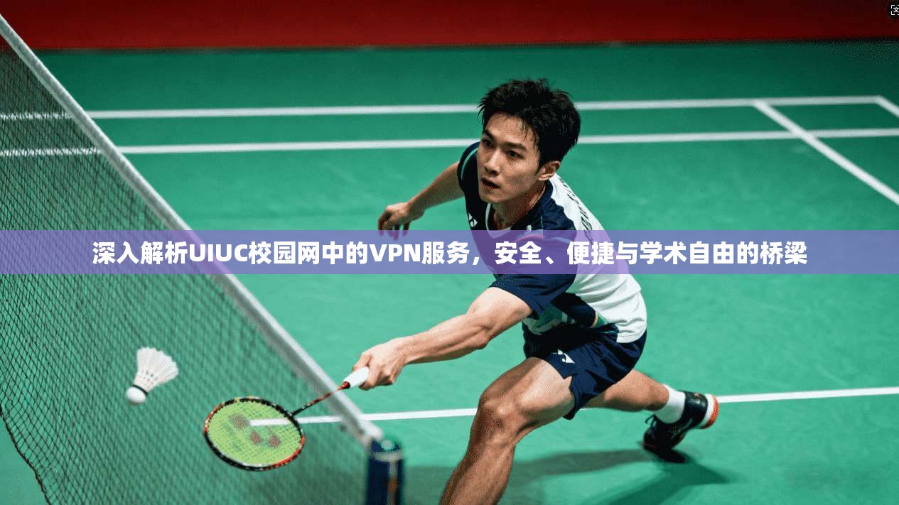 深入解析UIUC校园网中的VPN服务，安全、便捷与学术自由的桥梁