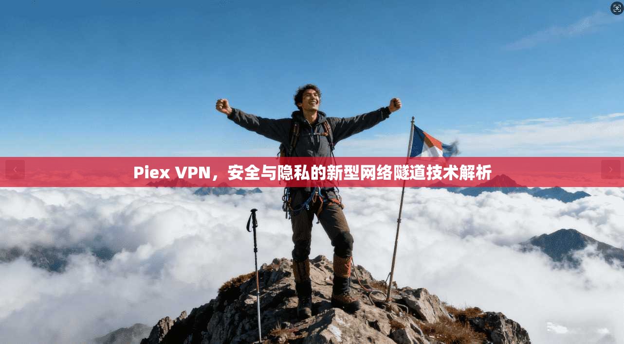 Piex VPN，安全与隐私的新型网络隧道技术解析