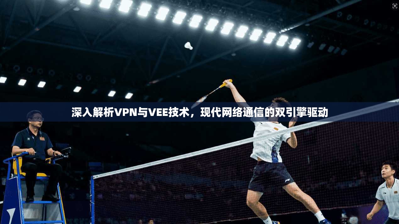 深入解析VPN与VEE技术，现代网络通信的双引擎驱动
