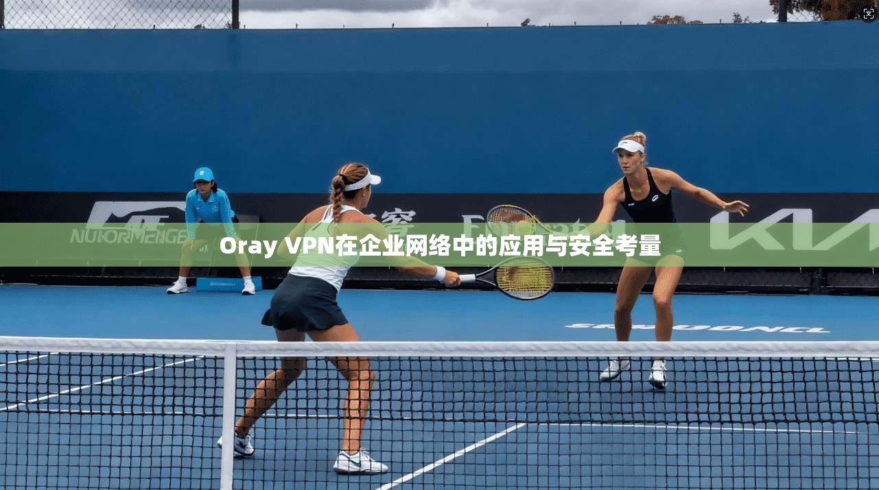 Oray VPN在企业网络中的应用与安全考量