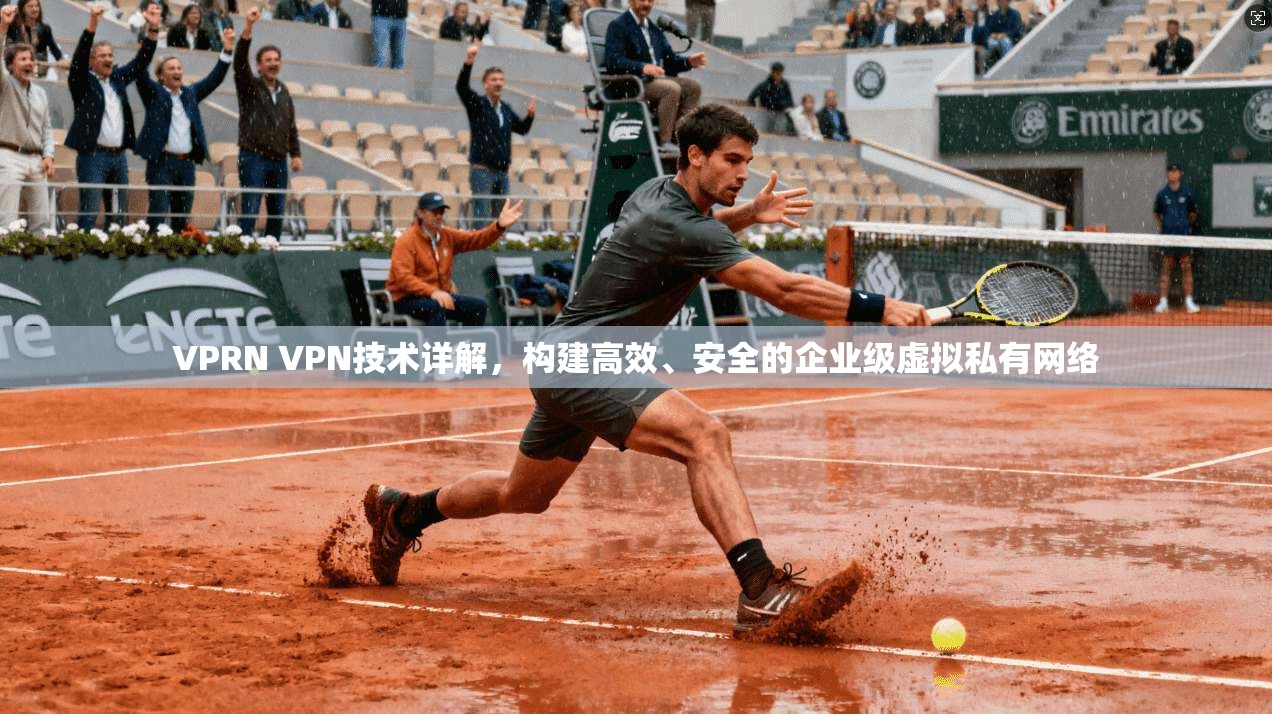 VPRN VPN技术详解，构建高效、安全的企业级虚拟私有网络