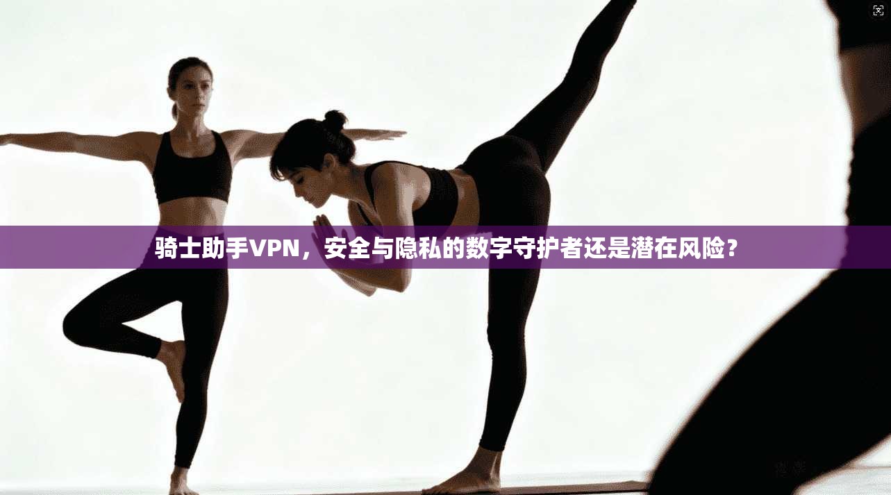 骑士助手VPN，安全与隐私的数字守护者还是潜在风险？