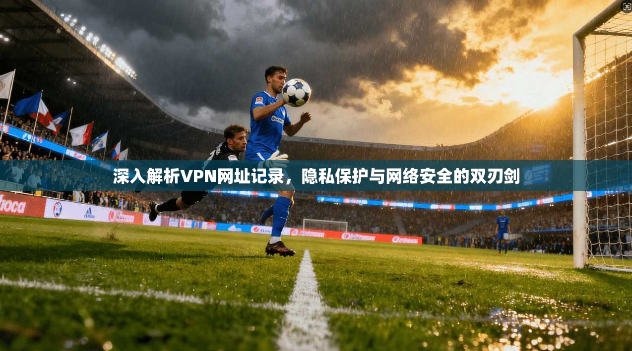 深入解析VPN网址记录，隐私保护与网络安全的双刃剑