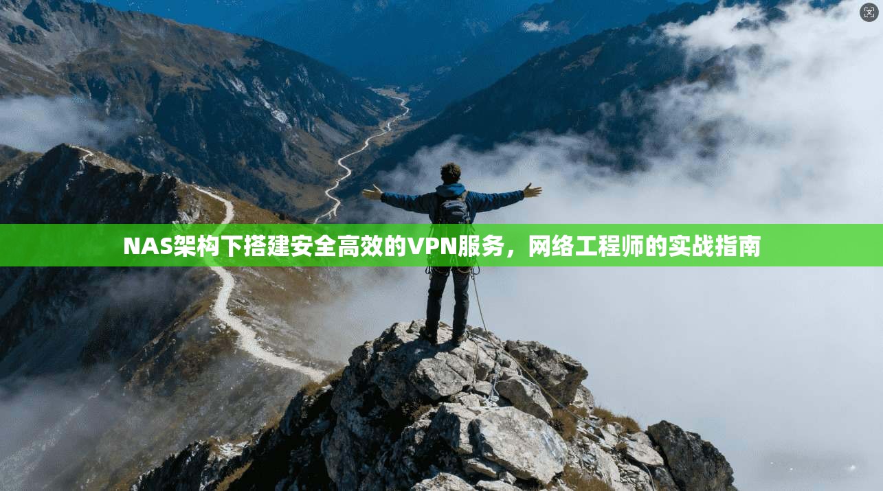 NAS架构下搭建安全高效的VPN服务，网络工程师的实战指南