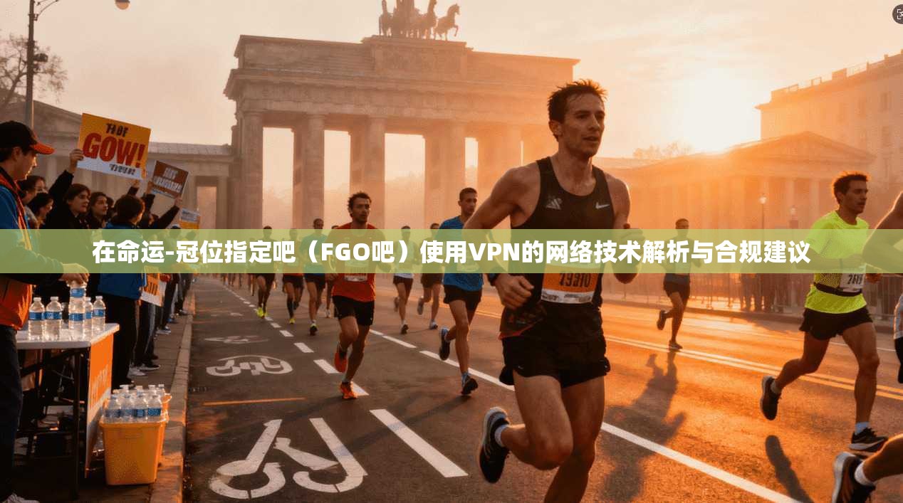 在命运-冠位指定吧（FGO吧）使用VPN的网络技术解析与合规建议