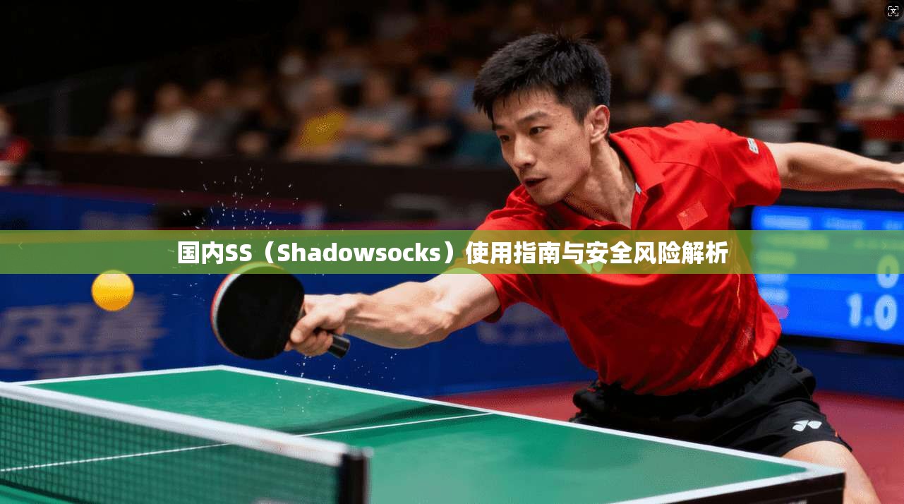国内SS（Shadowsocks）使用指南与安全风险解析