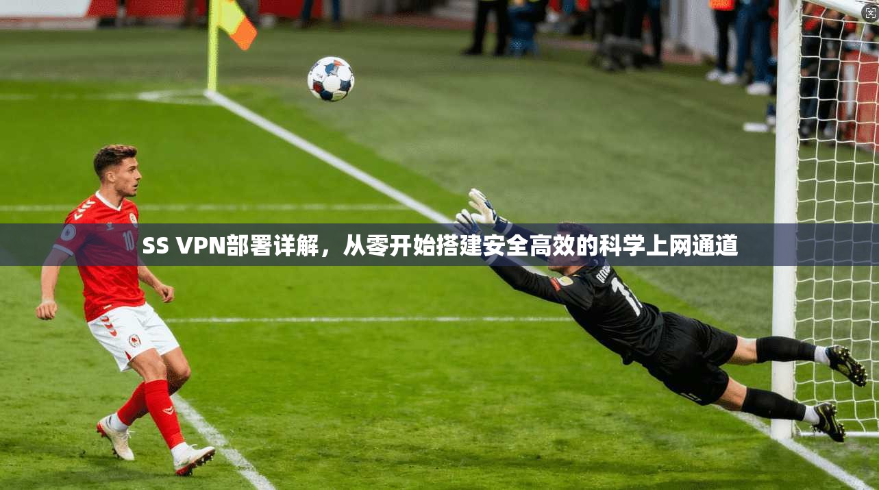 SS VPN部署详解，从零开始搭建安全高效的科学上网通道