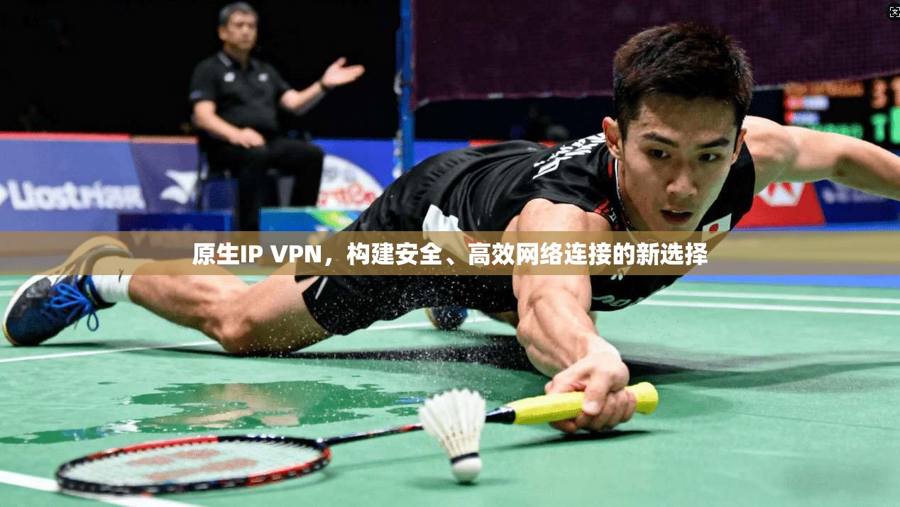 原生IP VPN，构建安全、高效网络连接的新选择