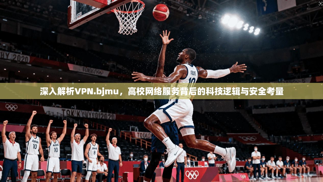 深入解析VPN.bjmu，高校网络服务背后的科技逻辑与安全考量