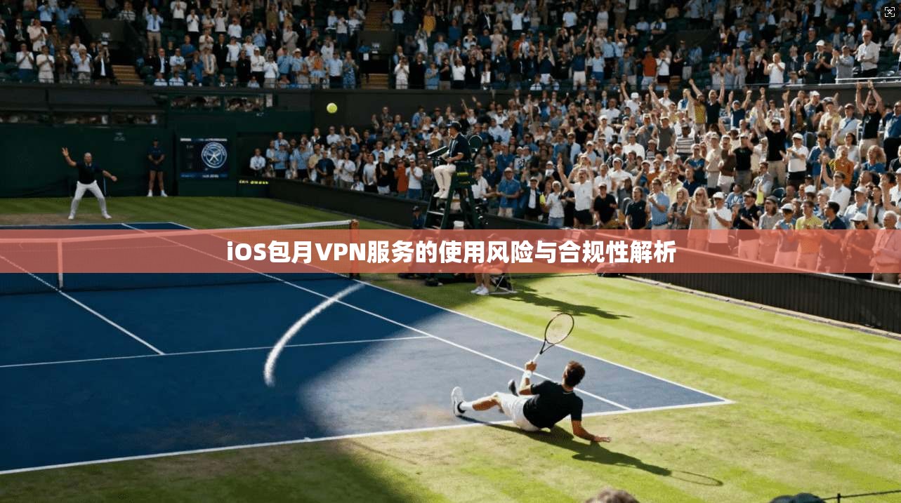 iOS包月VPN服务的使用风险与合规性解析