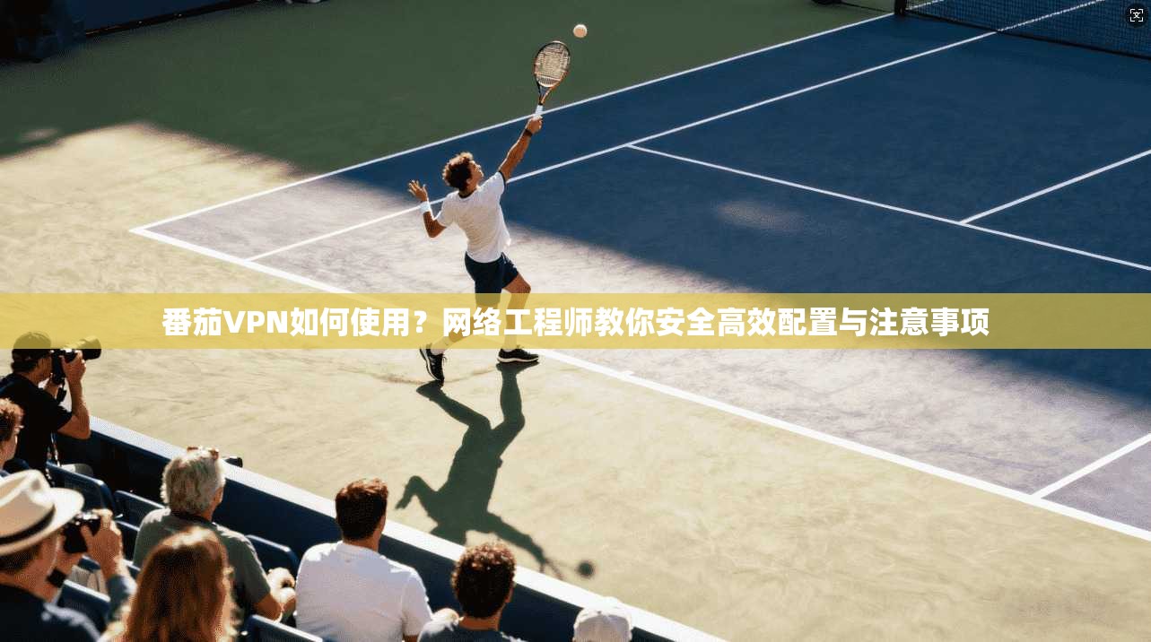番茄VPN如何使用？网络工程师教你安全高效配置与注意事项