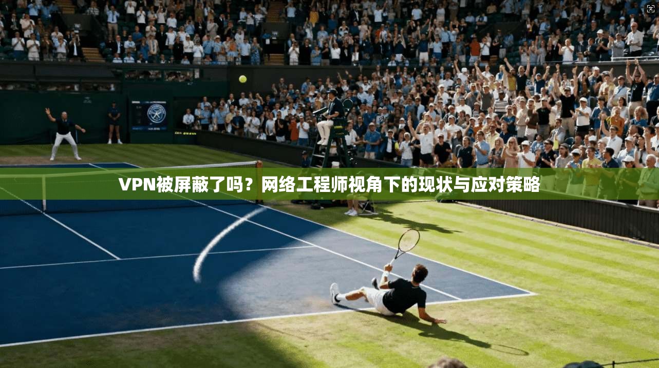 VPN被屏蔽了吗？网络工程师视角下的现状与应对策略