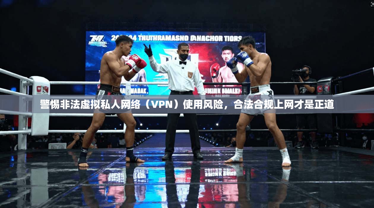 警惕非法虚拟私人网络（VPN）使用风险，合法合规上网才是正道