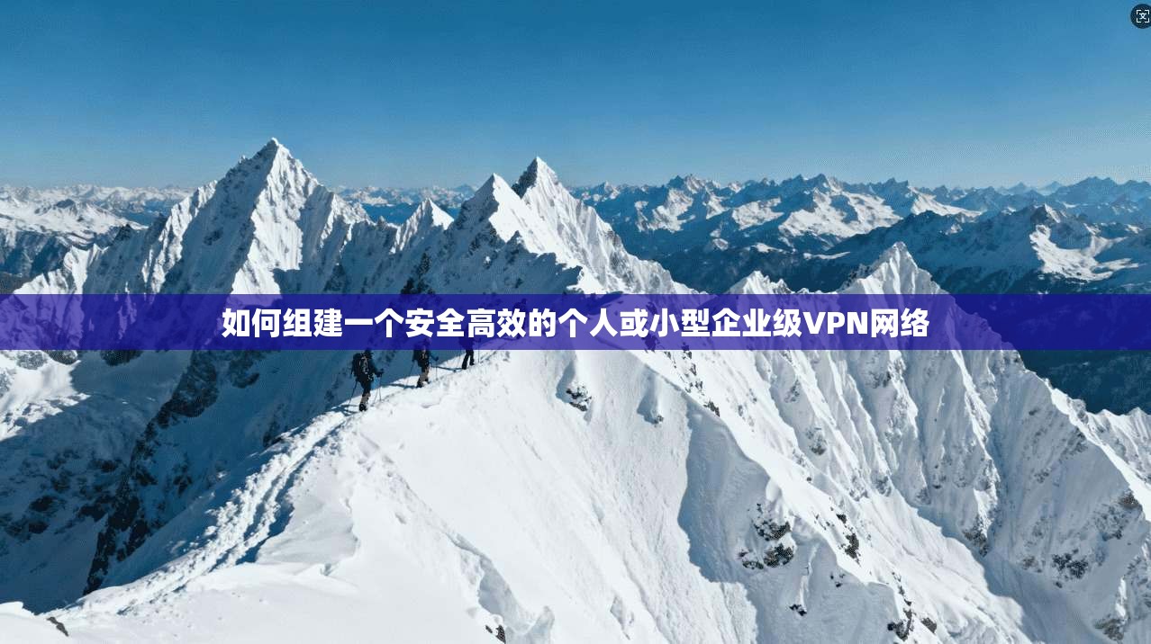 如何组建一个安全高效的个人或小型企业级VPN网络