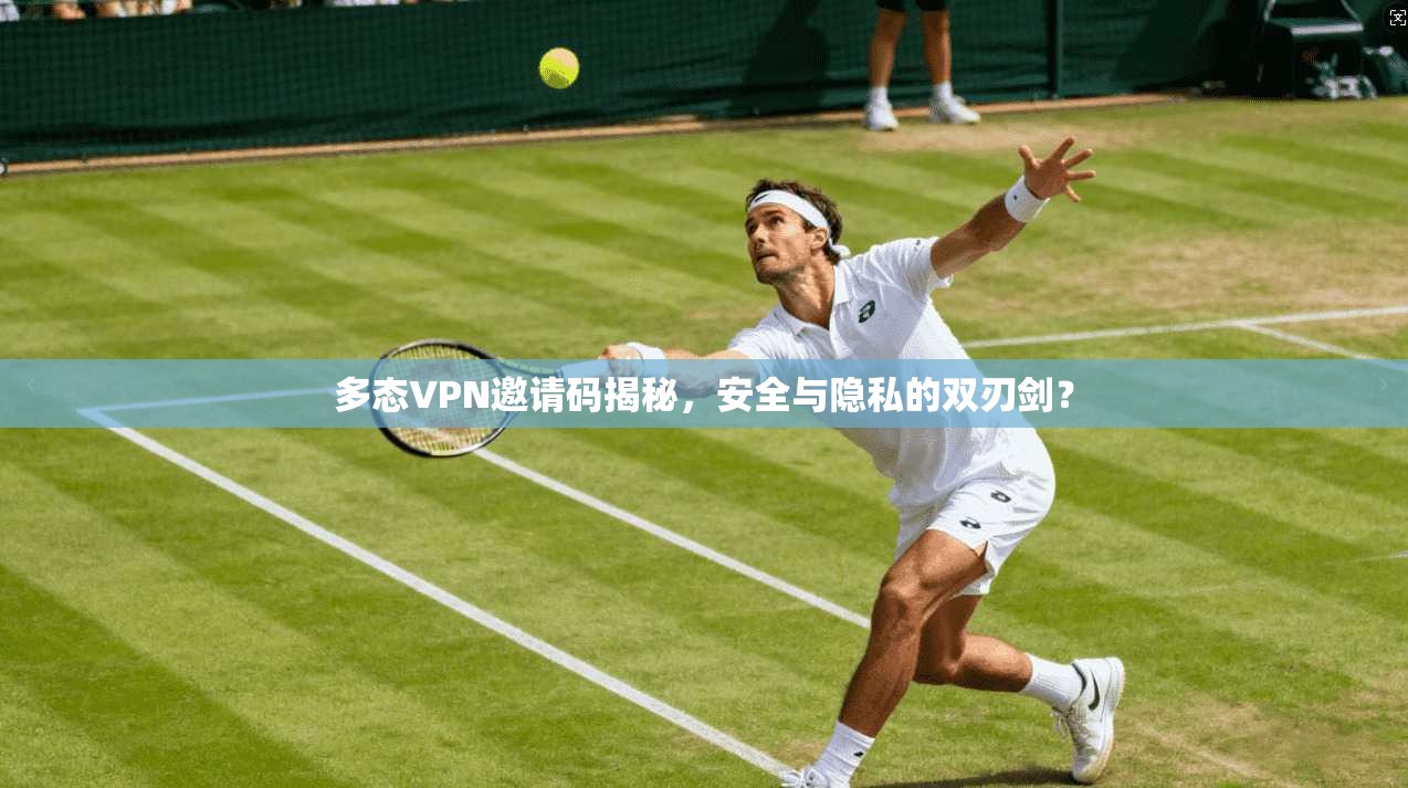 多态VPN邀请码揭秘，安全与隐私的双刃剑？