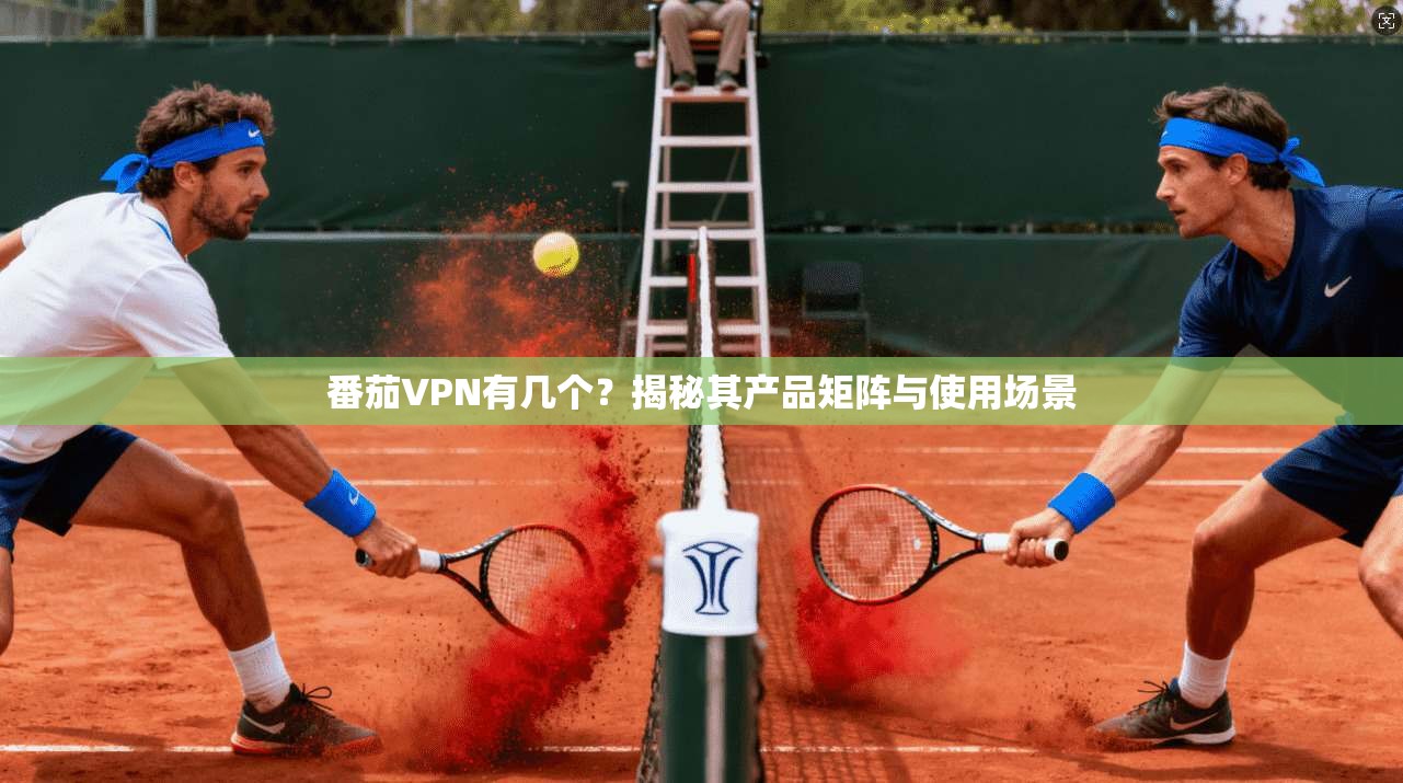 番茄VPN有几个？揭秘其产品矩阵与使用场景