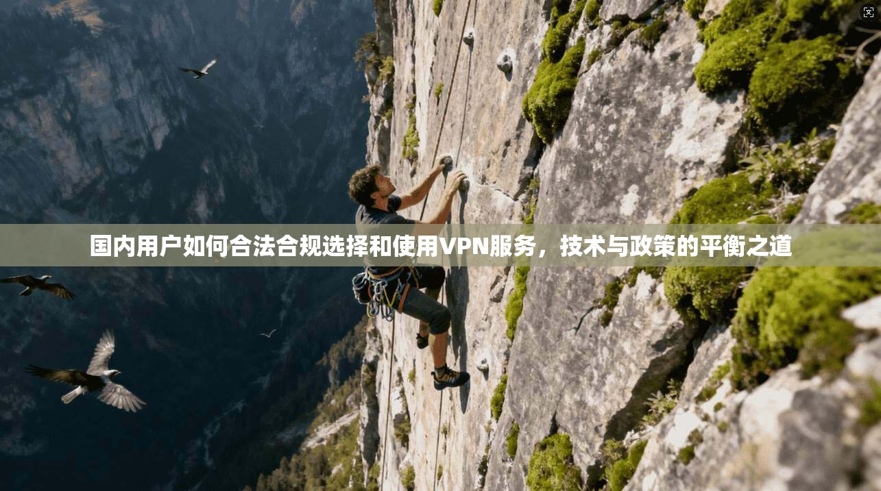 国内用户如何合法合规选择和使用VPN服务，技术与政策的平衡之道