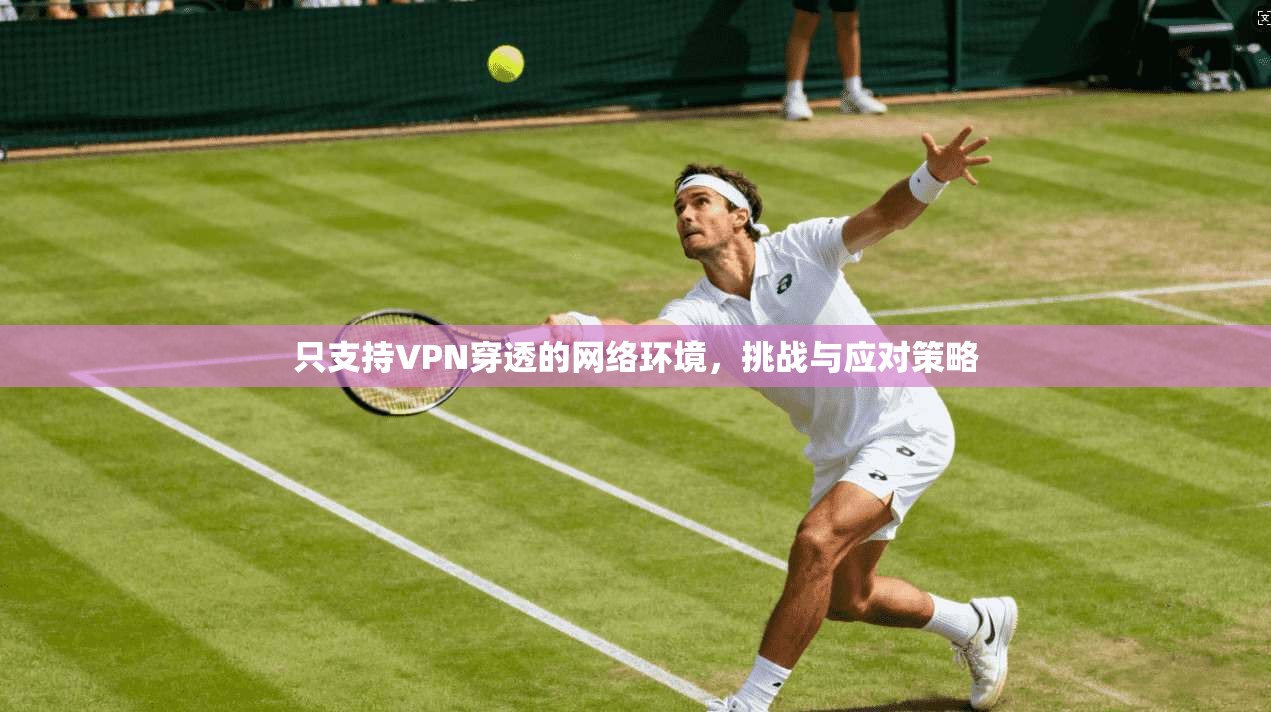 只支持VPN穿透的网络环境，挑战与应对策略