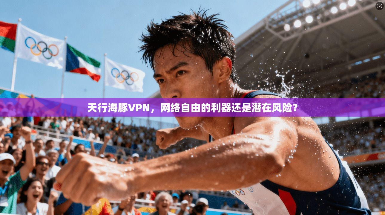 天行海豚VPN，网络自由的利器还是潜在风险？