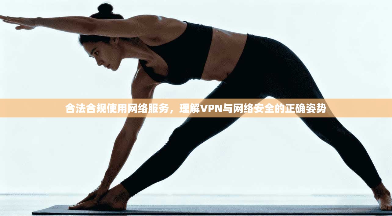 合法合规使用网络服务，理解VPN与网络安全的正确姿势