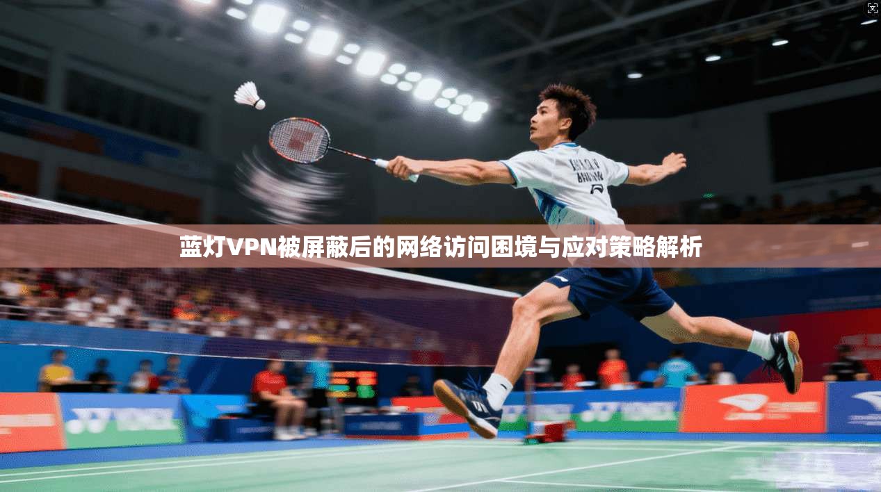 蓝灯VPN被屏蔽后的网络访问困境与应对策略解析