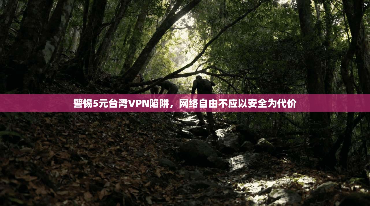 警惕5元台湾VPN陷阱，网络自由不应以安全为代价