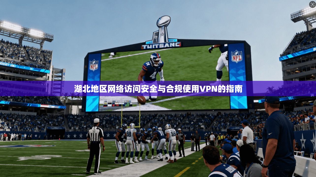 湖北地区网络访问安全与合规使用VPN的指南