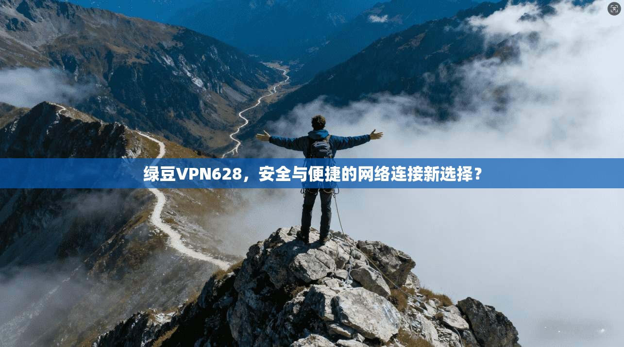 绿豆VPN628，安全与便捷的网络连接新选择？