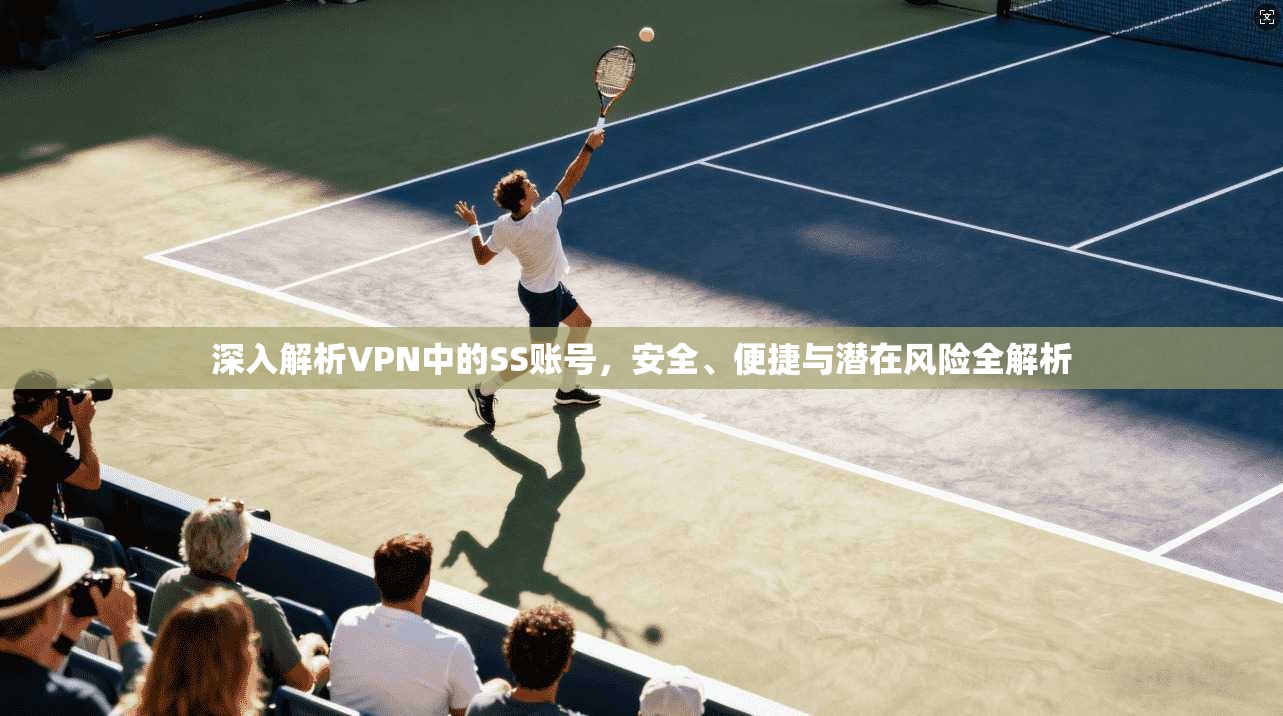 深入解析VPN中的SS账号，安全、便捷与潜在风险全解析