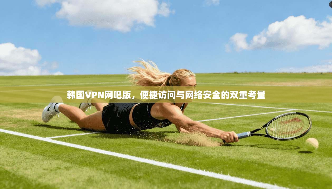 韩国VPN网吧版，便捷访问与网络安全的双重考量