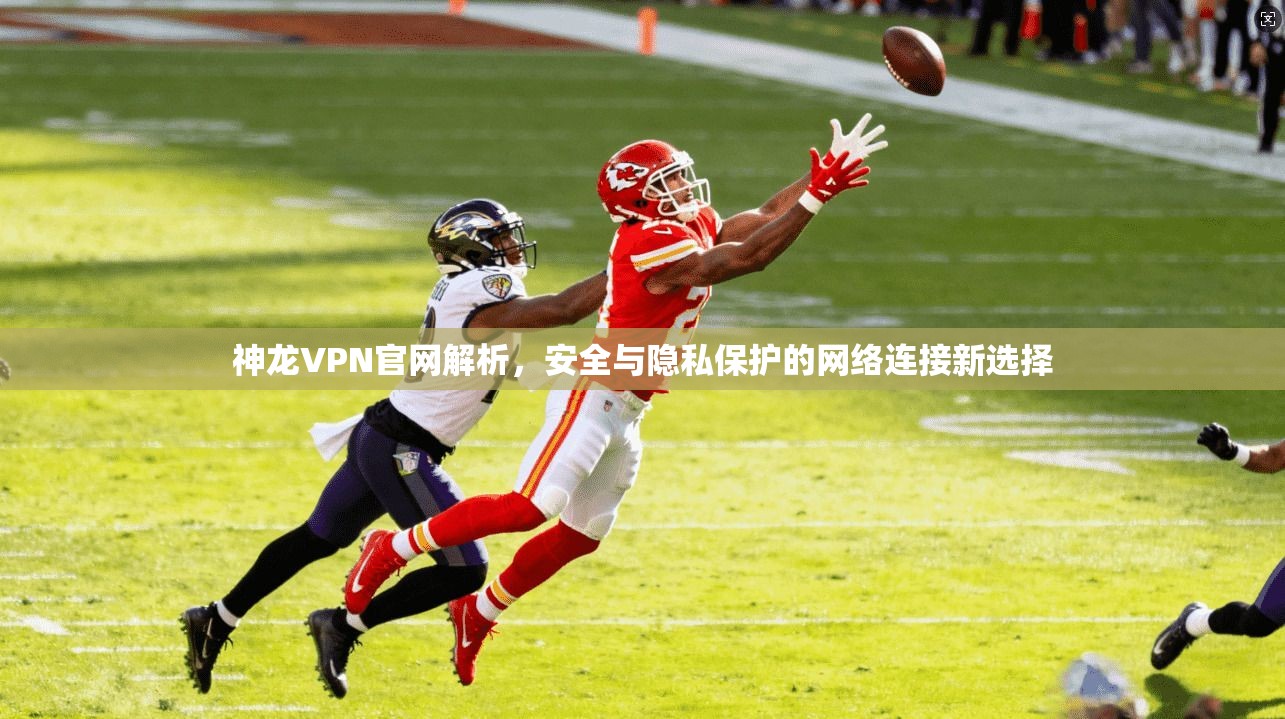 神龙VPN官网解析，安全与隐私保护的网络连接新选择