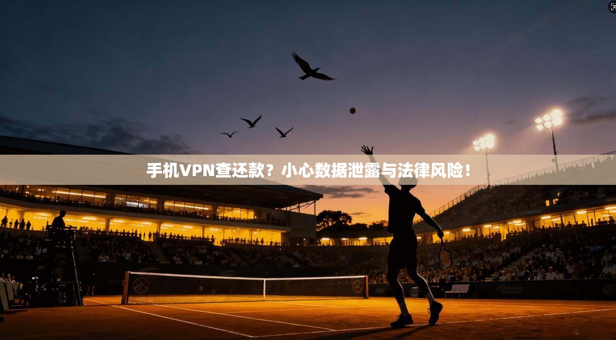手机VPN查还款？小心数据泄露与法律风险！