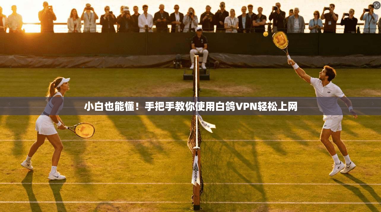 小白也能懂！手把手教你使用白鸽VPN轻松上网