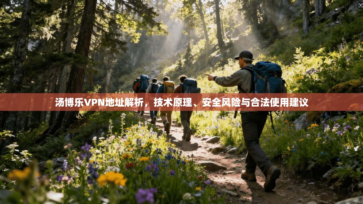 汤博乐VPN地址解析，技术原理、安全风险与合法使用建议