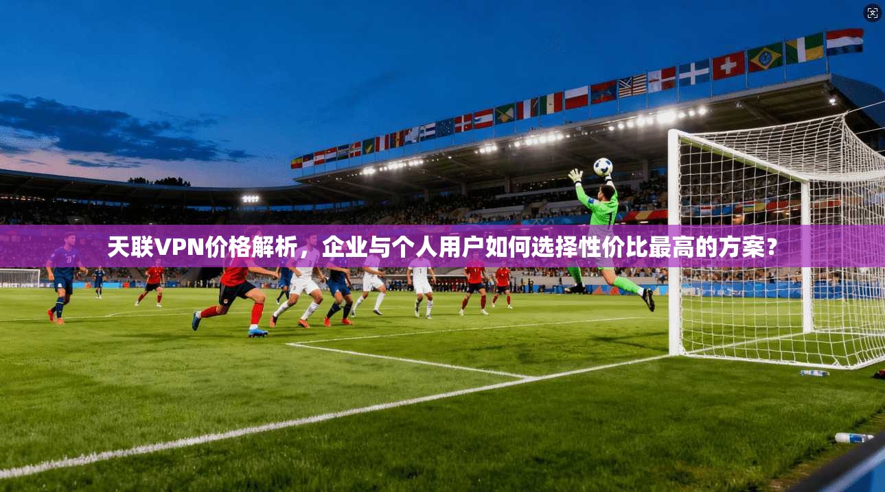 天联VPN价格解析，企业与个人用户如何选择性价比最高的方案？
