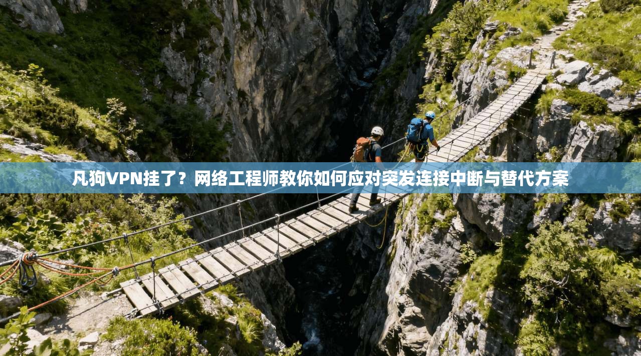 凡狗VPN挂了？网络工程师教你如何应对突发连接中断与替代方案