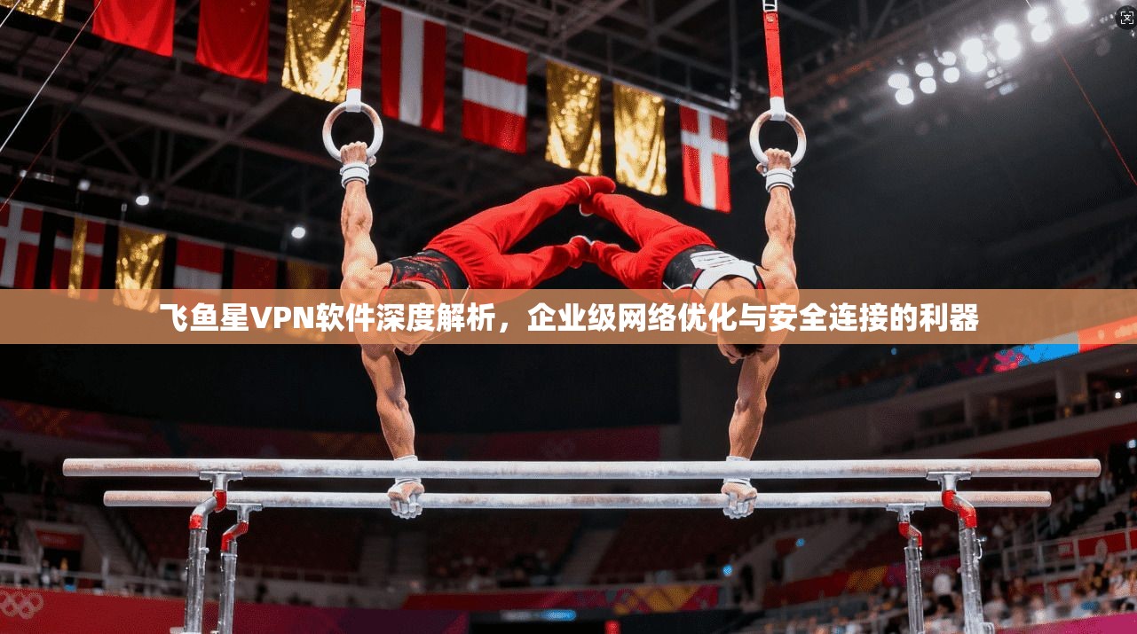 飞鱼星VPN软件深度解析，企业级网络优化与安全连接的利器