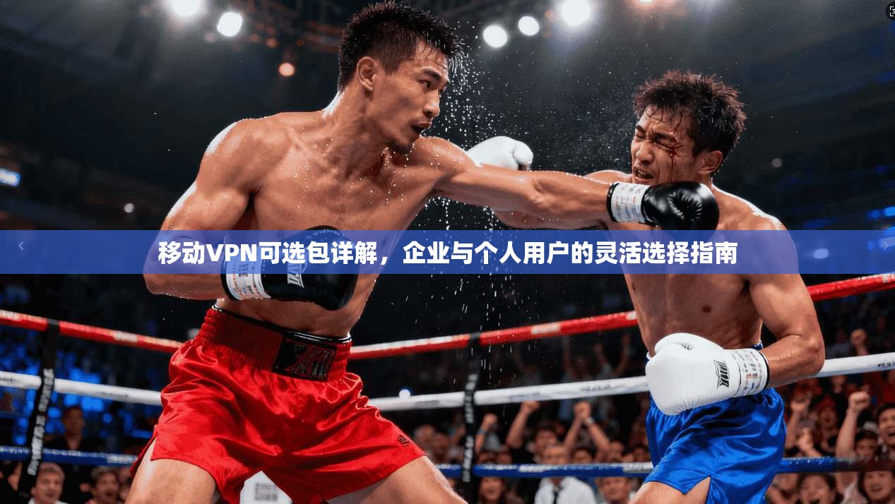 移动VPN可选包详解，企业与个人用户的灵活选择指南